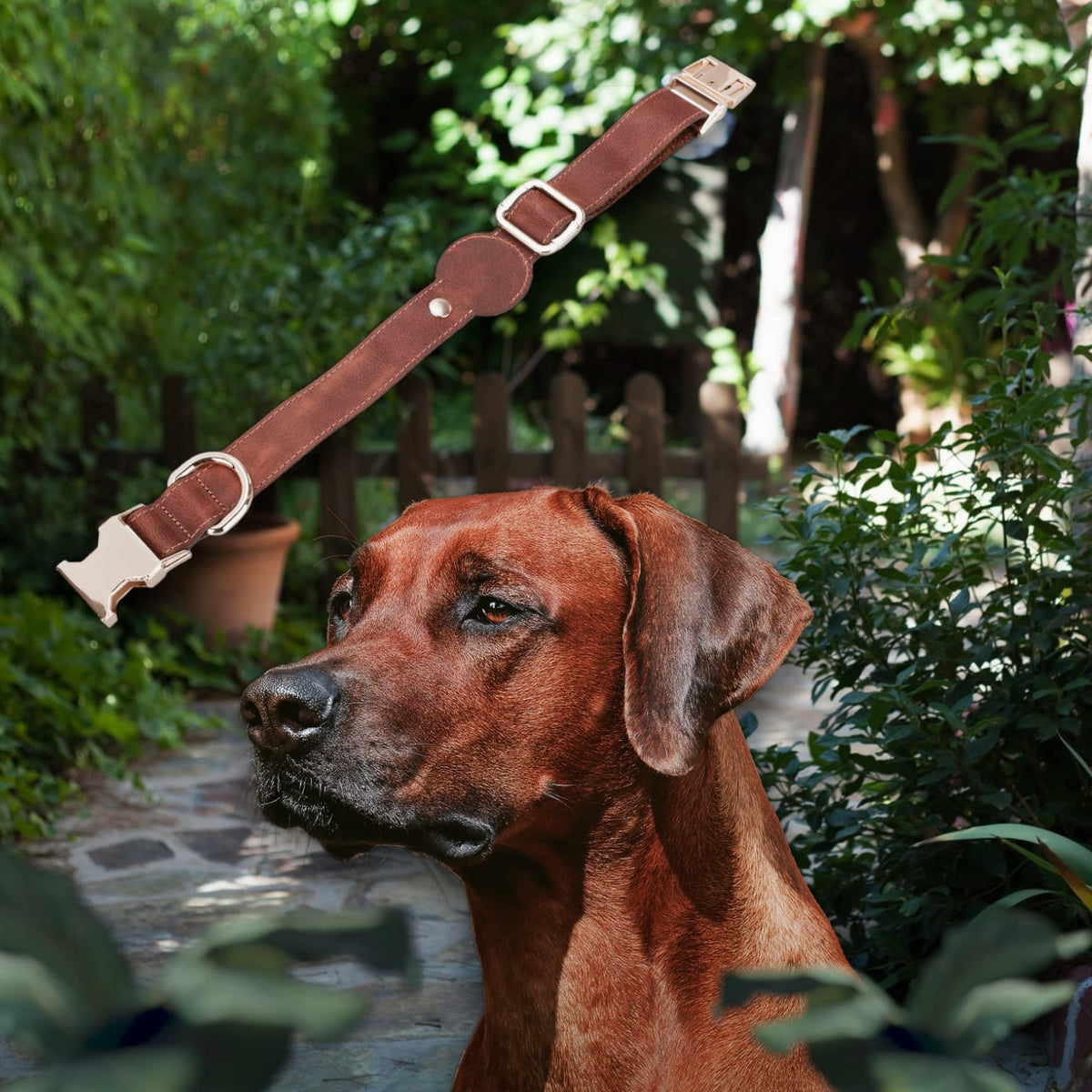 Apple Dog Collar AirTag Holder (500 mm, adjustable)