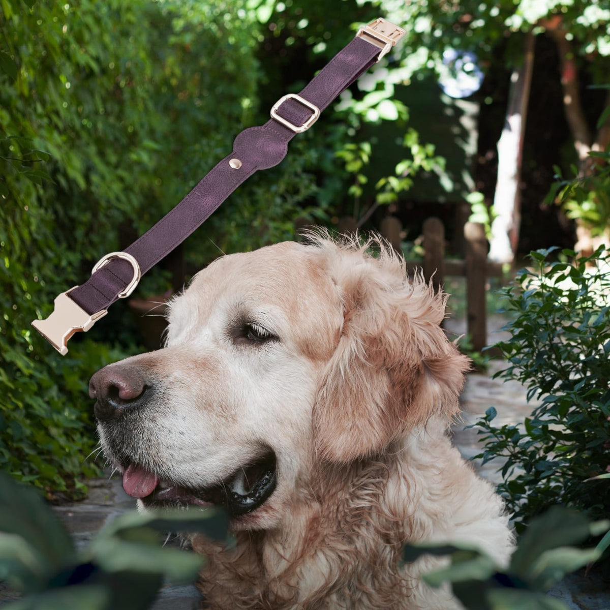 Apple Dog Collar AirTag Holder (500 mm, adjustable)